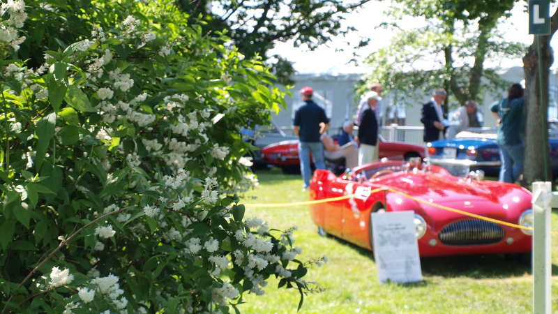 Illustration for article titled Greenwich Concours d'Elegance Delivers Eye Candy For The Super Rich